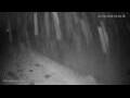Webcam Princetown