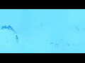 Webcam Hintertux