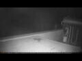 Webcam Agia Napa
