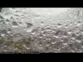 Webcam Saint-Pierre