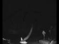 Webcam Valdevaqueros