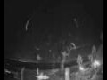 Webcam Valdevaqueros