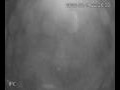 Webcam Valdevaqueros