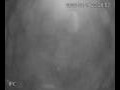 Webcam Valdevaqueros
