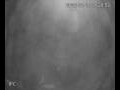 Webcam Valdevaqueros
