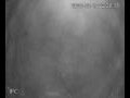 Webcam Valdevaqueros