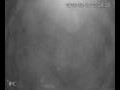 Webcam Valdevaqueros