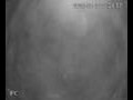 Webcam Valdevaqueros