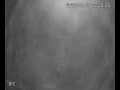 Webcam Valdevaqueros