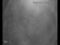 Webcam Valdevaqueros