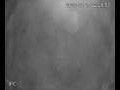 Webcam Valdevaqueros