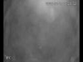 Webcam Valdevaqueros