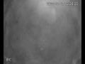 Webcam Valdevaqueros