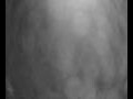 Webcam Valdevaqueros
