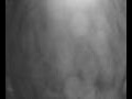 Webcam Valdevaqueros