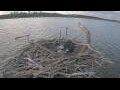 Webcam Orx