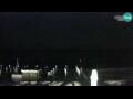 Webcam San Teodoro (Sardegna)