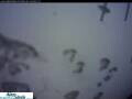Webcam Urnäsch