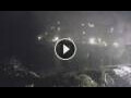 Webcam Genova