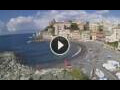 Webcam Genua