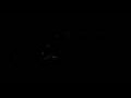 Webcam Taupitzalm