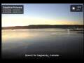 Webcam Sapphire Princess