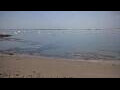 Webcam Carnac