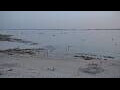 Webcam Carnac