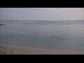 Webcam Carnac