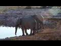 Webcam Gondwana Namib Park
