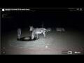 Webcam Gondwana Namib Park