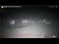 Webcam Gondwana Namib Park