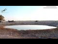 Webcam Gondwana Namib Park