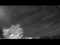 Webcam Carrum