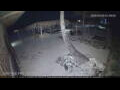 Webcam Kiwengwa (Sansibar)