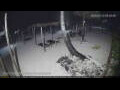 Webcam Kiwengwa (Sansibar)
