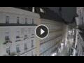 Webcam Viena