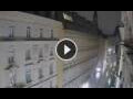 Webcam Vienna
