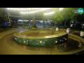 Webcam Žalec