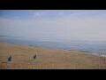Webcam Leucate