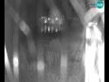 Webcam Brežice