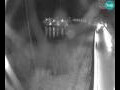 Webcam Brežice