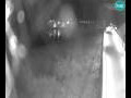Webcam Brežice