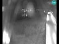 Webcam Brežice