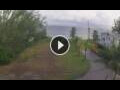 Webcam Silver Sands