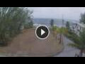 Webcam Silver Sands