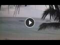 Webcam Nungwi (Sansibar)