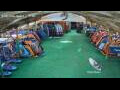 Webcam Soma Bay