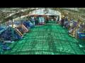 Webcam Soma Bay