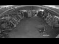 Webcam Soma Bay
